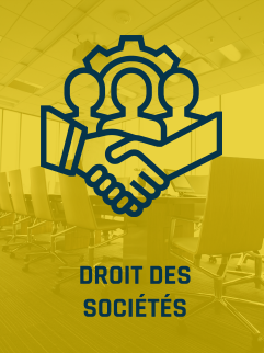 Thumbnail droit des sociétés